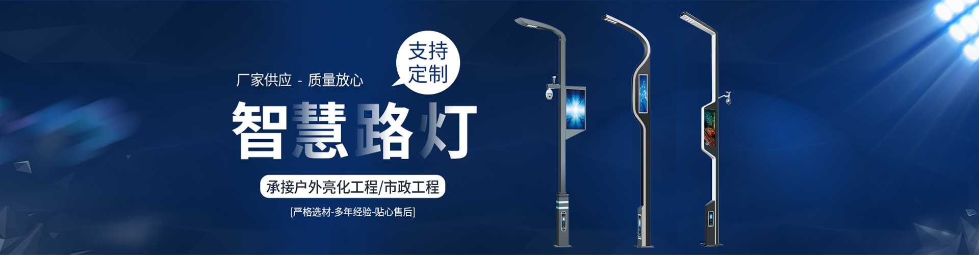 阳西县太阳能路灯定制厂家