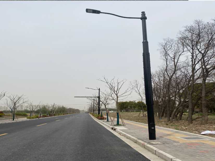 阳西县上海综合杆 太阳能路灯工程